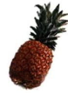 Obrázek ananas 4