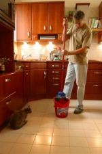 Obr&aacute;zek mop1