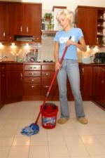Obrázek mop2