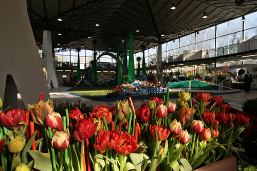 Flora-Olomouc-jaro-2009.jpg