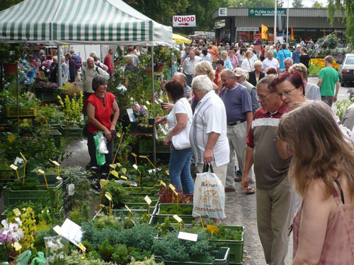 flora-olomouc-leto-2009.jpg