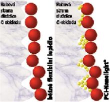 Obrázek nanotechnologie 5