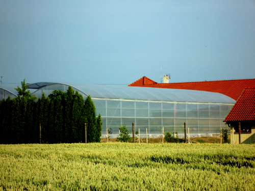 Akvaponický skleník