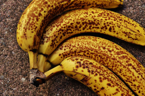 banánové hnojivo